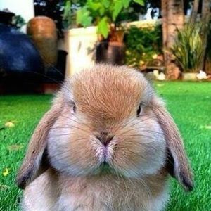 Meet your Posher, Jocelyn